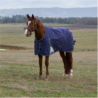 Comfitec Plus Dynamic Turnout